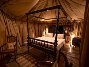 Premium Experience Packages